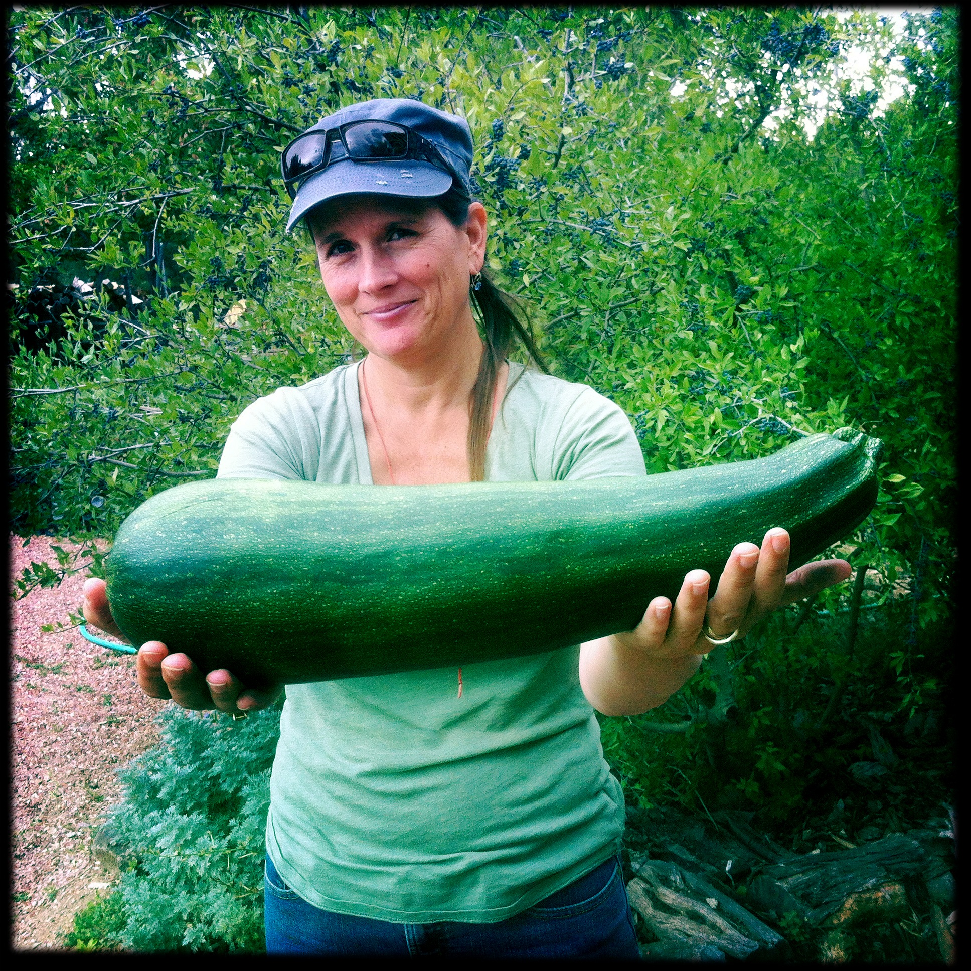 Dawn dropped by with a giant zucchini. Time to get out the grater!