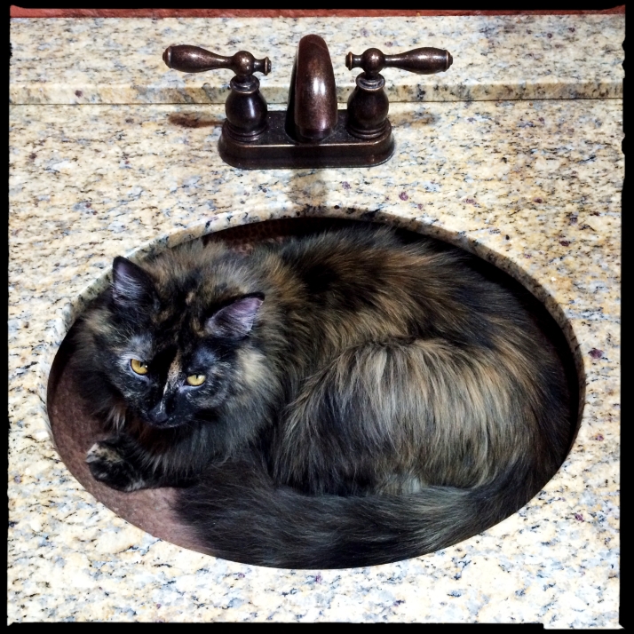 Meanwhile, we've discovered the true purpose of the copper sink.